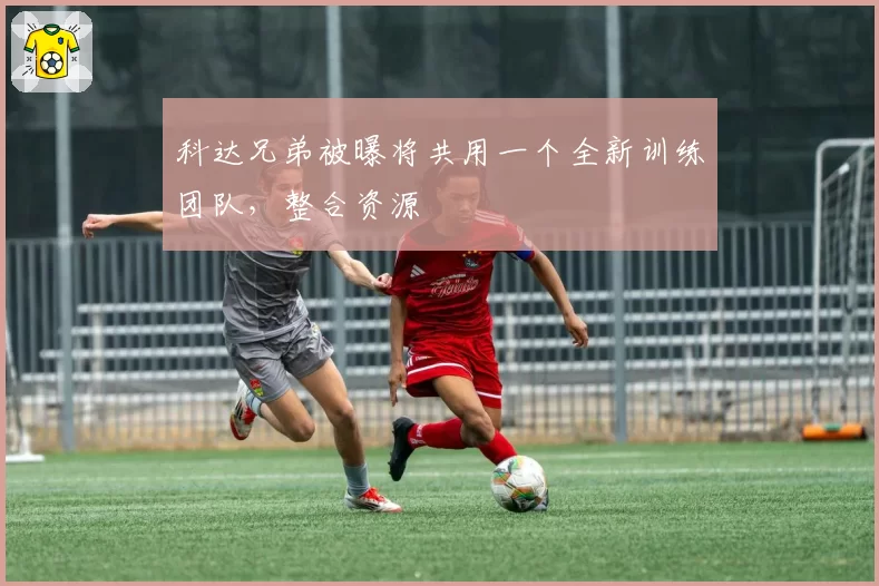 科达兄弟被曝将共用一个全新训练团队，整合资源