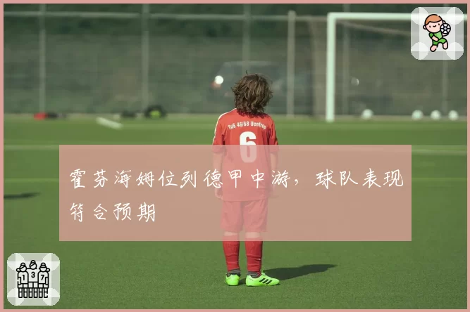 霍芬海姆位列德甲中游，球队表现符合预期