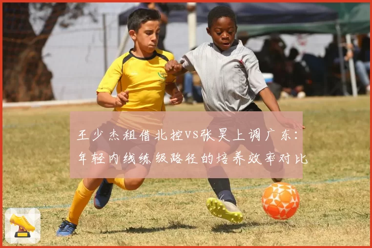王少杰租借北控vs张昊上调广东：年轻内线练级路径的培养效率对比