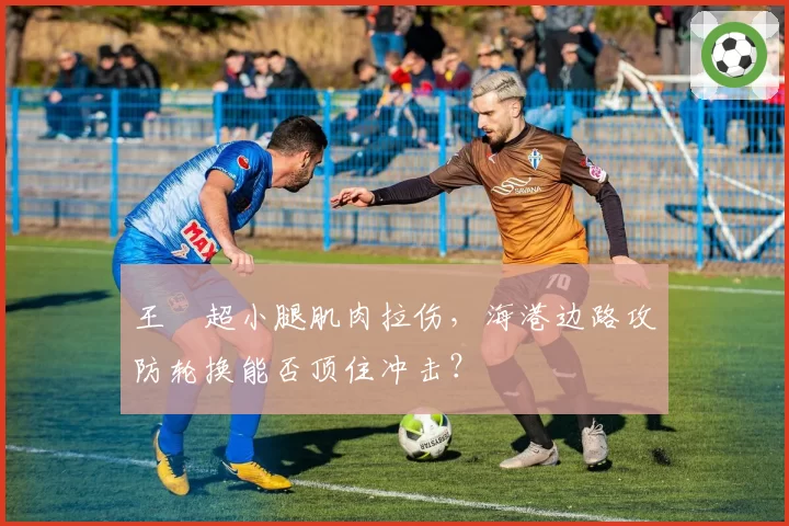 王燊超小腿肌肉拉伤，海港边路攻防轮换能否顶住冲击？