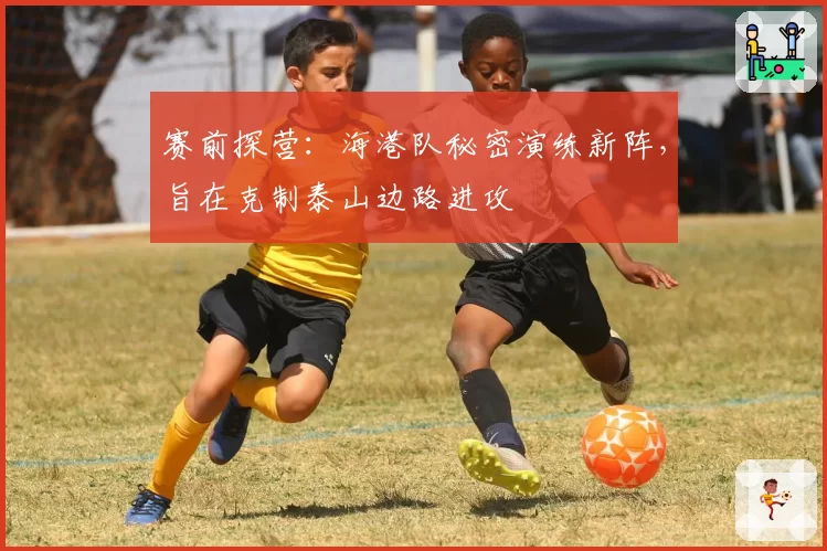 赛前探营:海港队秘密演练新阵,旨在克制泰山边路进攻